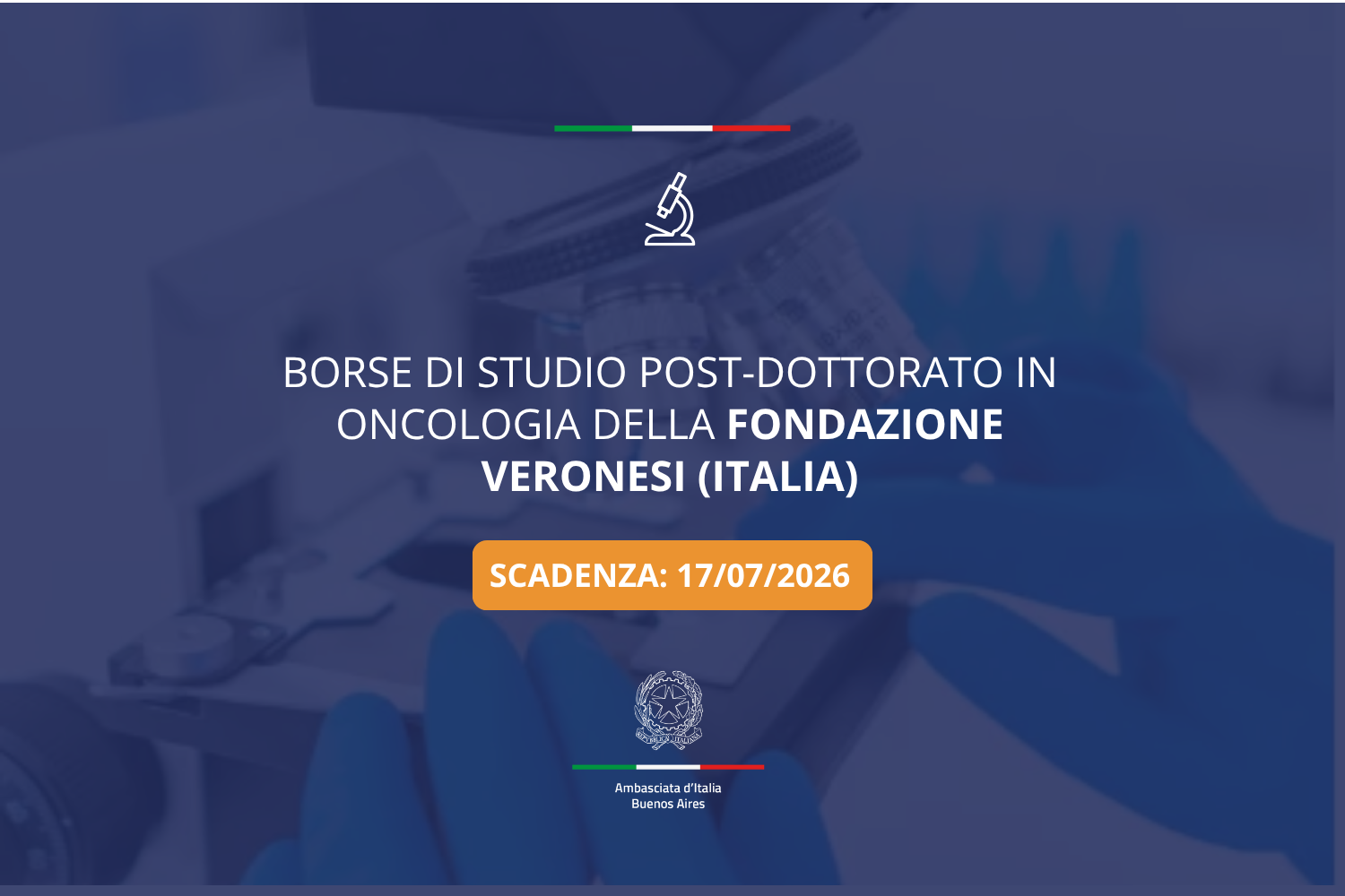 FONDAZIONE VERONESI IT