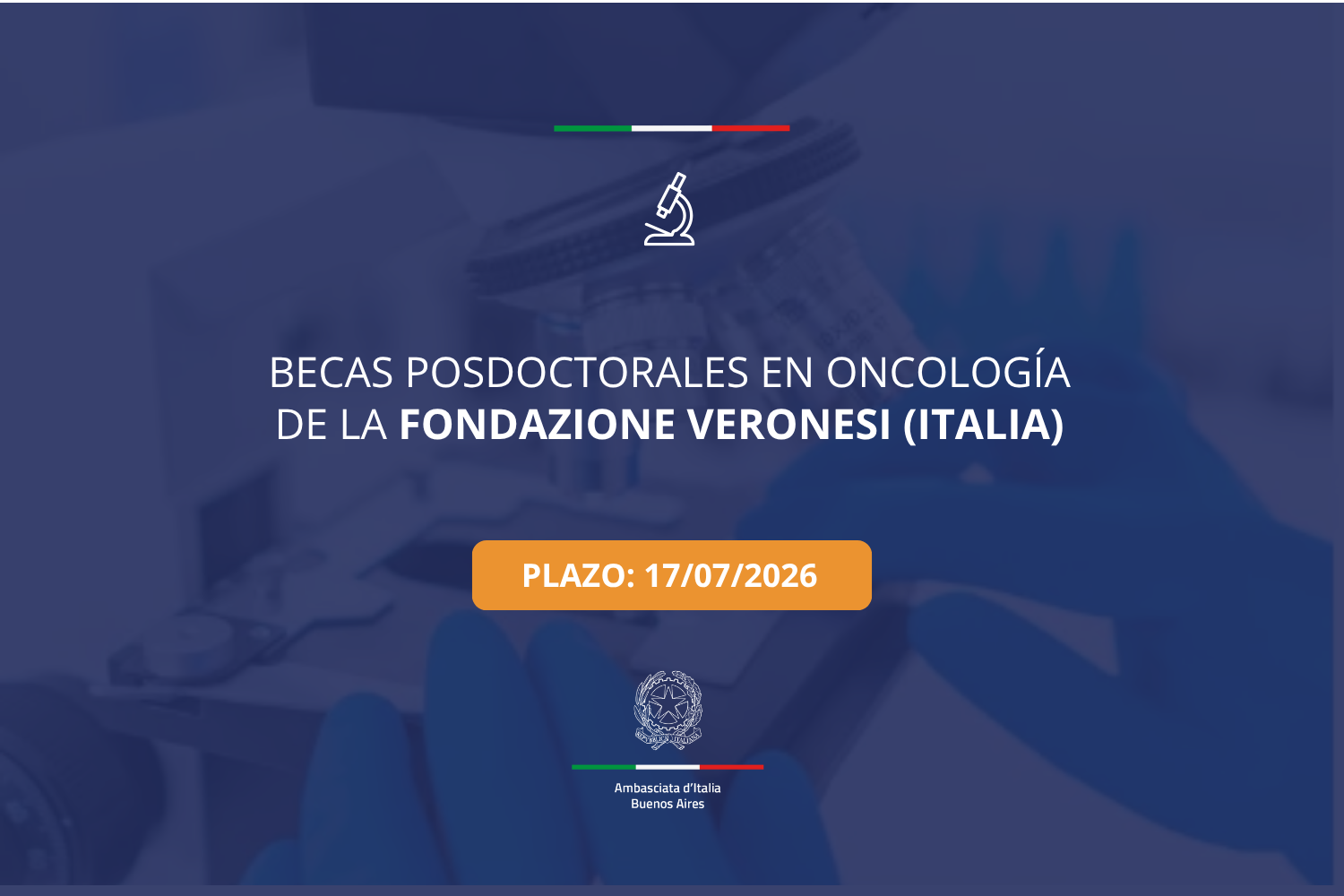 FONDAZIONE VERONESI